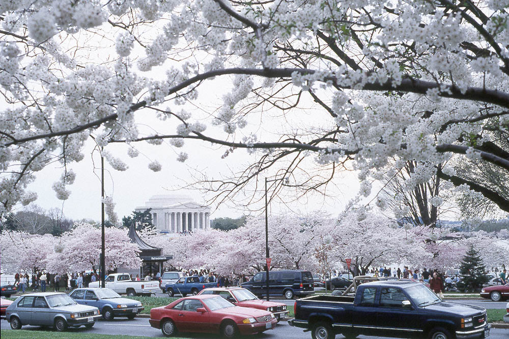 Jefferson Memorial