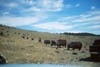 Caravan