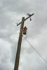 Cedaredge