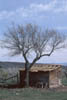 Cedaredge