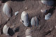 Shells